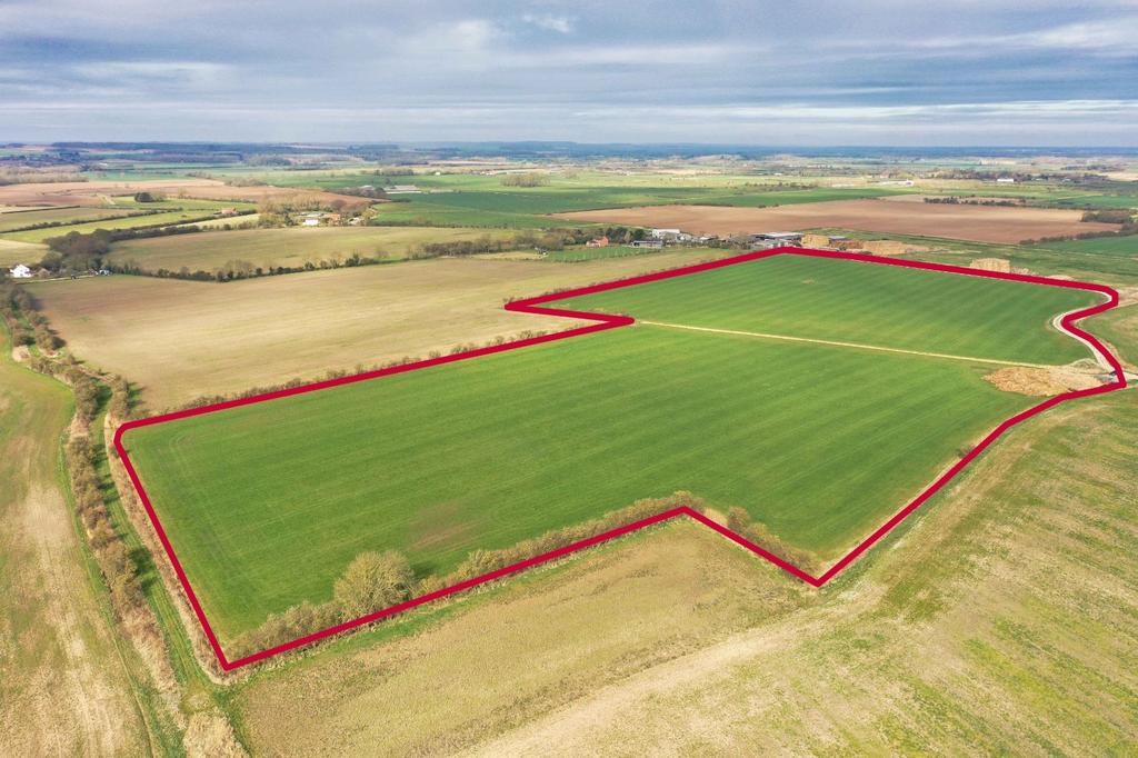 Lot 5