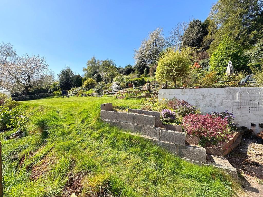Garden 8