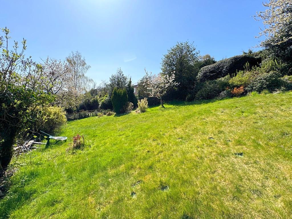 Garden 10