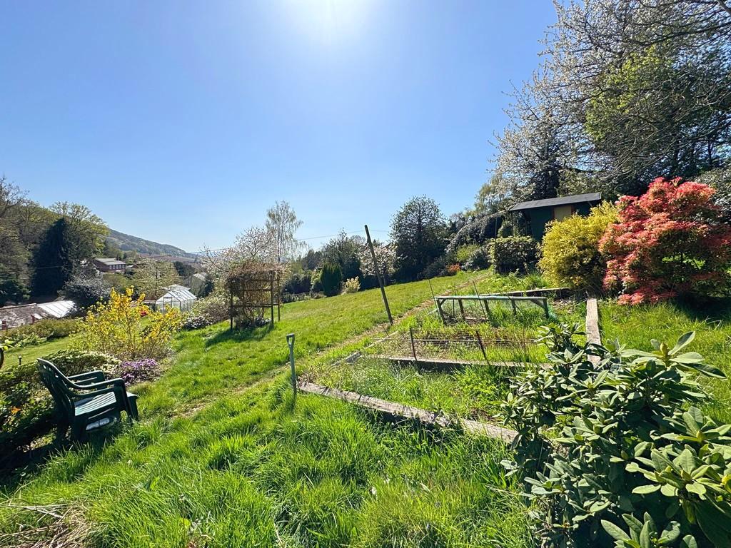 Garden 11