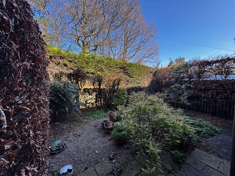 Back Garden