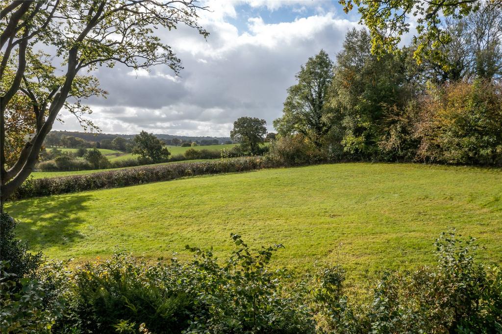 Garden and Views