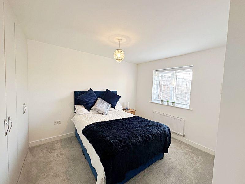 BEd One 1