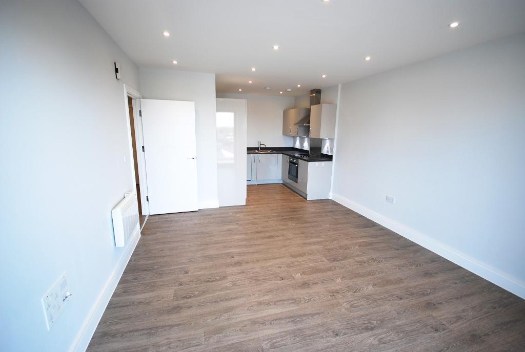 Open Plan Kitchen and Living