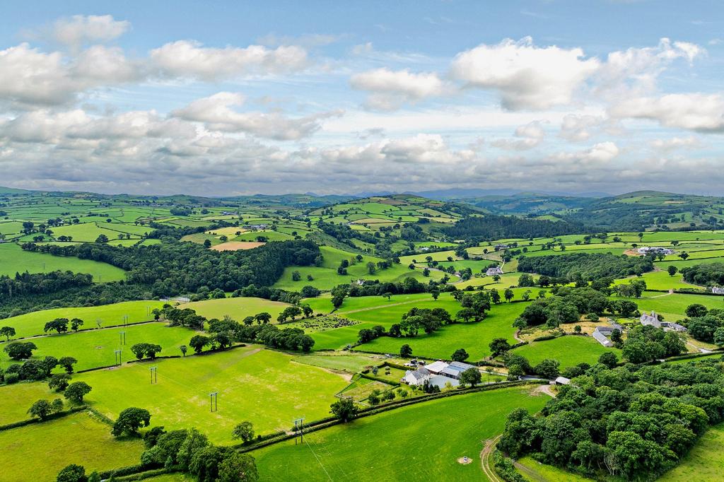 Drone View