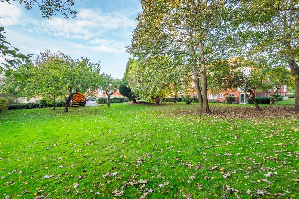 Communal Grounds