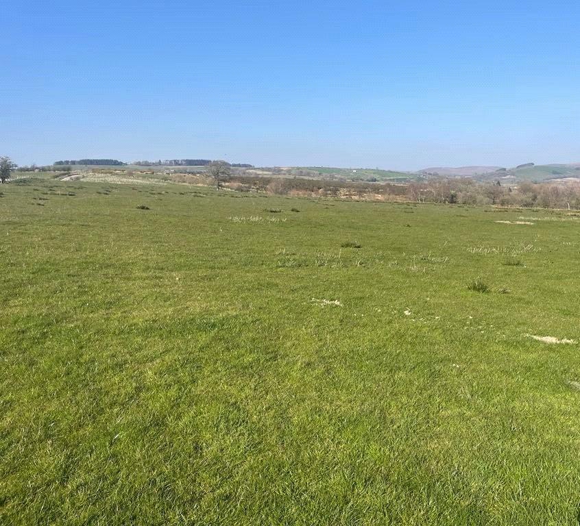 Lot 3