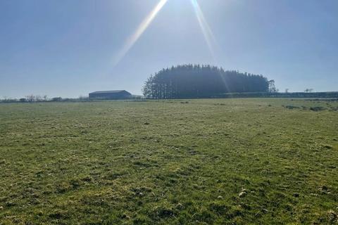 Land to rent, Cefnbronllys Farm, Llanddewi, Llandrindod Wells, Powys, LD1