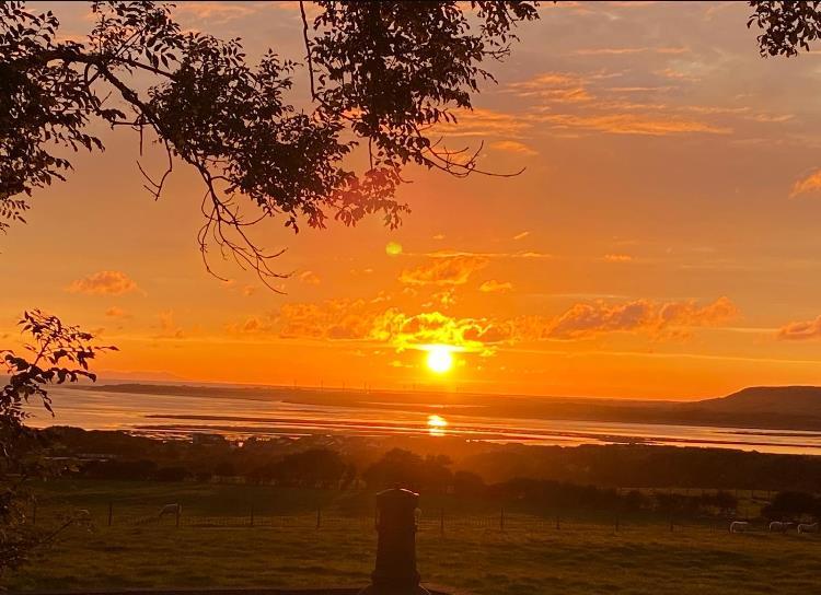 Thumbnail IMG 6007.png