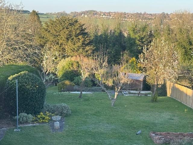 Garden 2.jpg