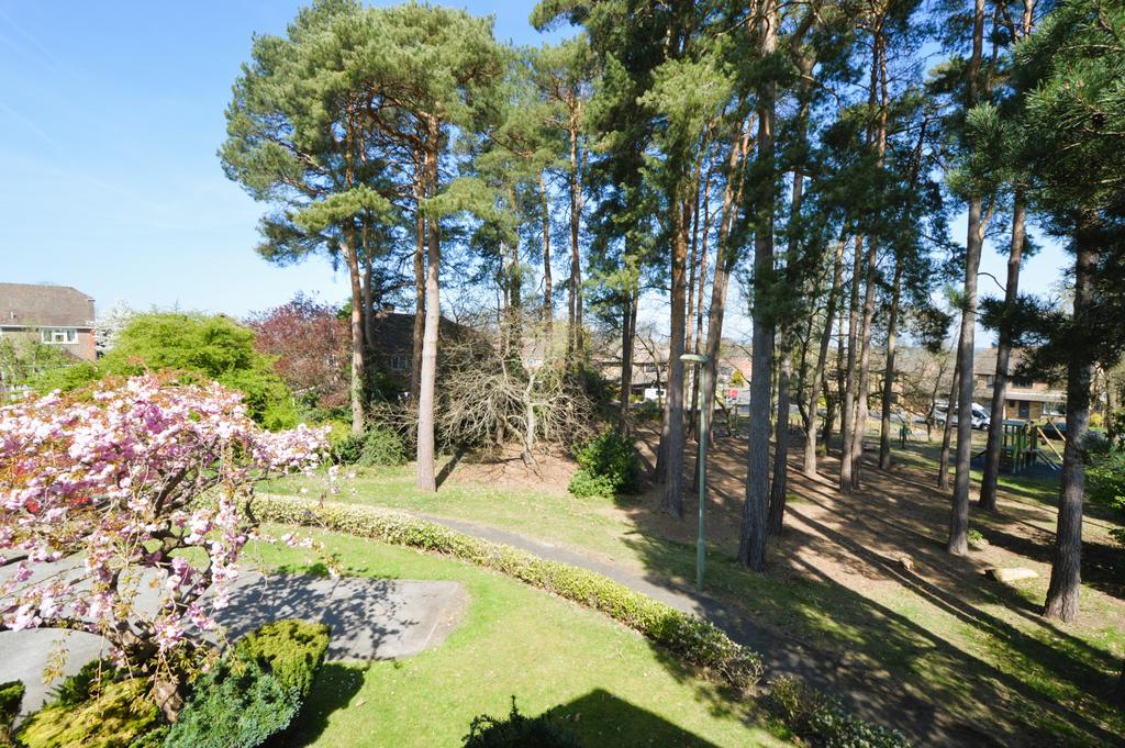 View from bedroom 2