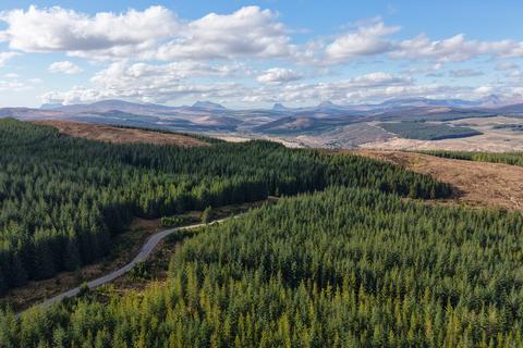 undefined, Coille Ruadh West, Near Rosehall, Sutherland  IV24