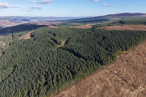 undefined, Coille Ruadh West, Near Rosehall, Sutherland  IV24