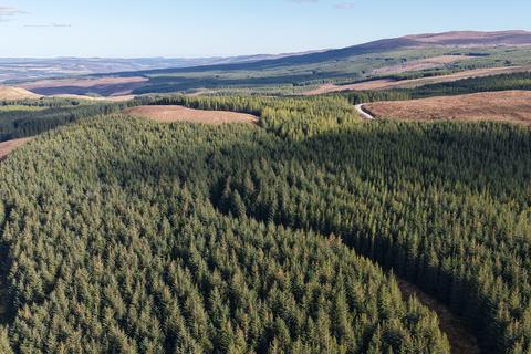 undefined, Coille Ruadh West, Near Rosehall, Sutherland  IV24