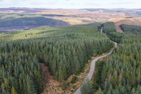 undefined, Coille Ruadh West, Near Rosehall, Sutherland  IV24