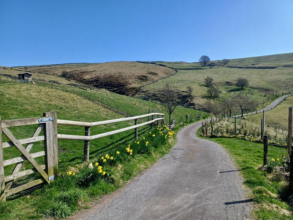20250409 121203 resized 1.jpg