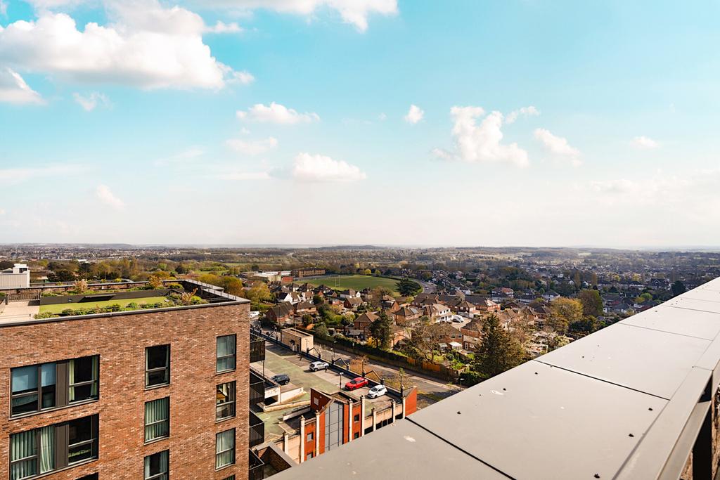 Rooftop Views