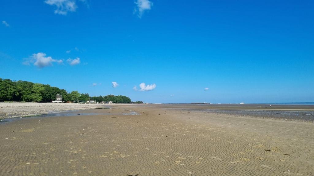 Surrounding Area