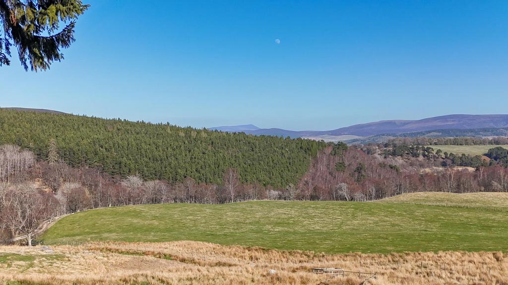 View of Ben Rinnes