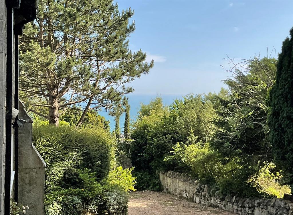 Driveway View