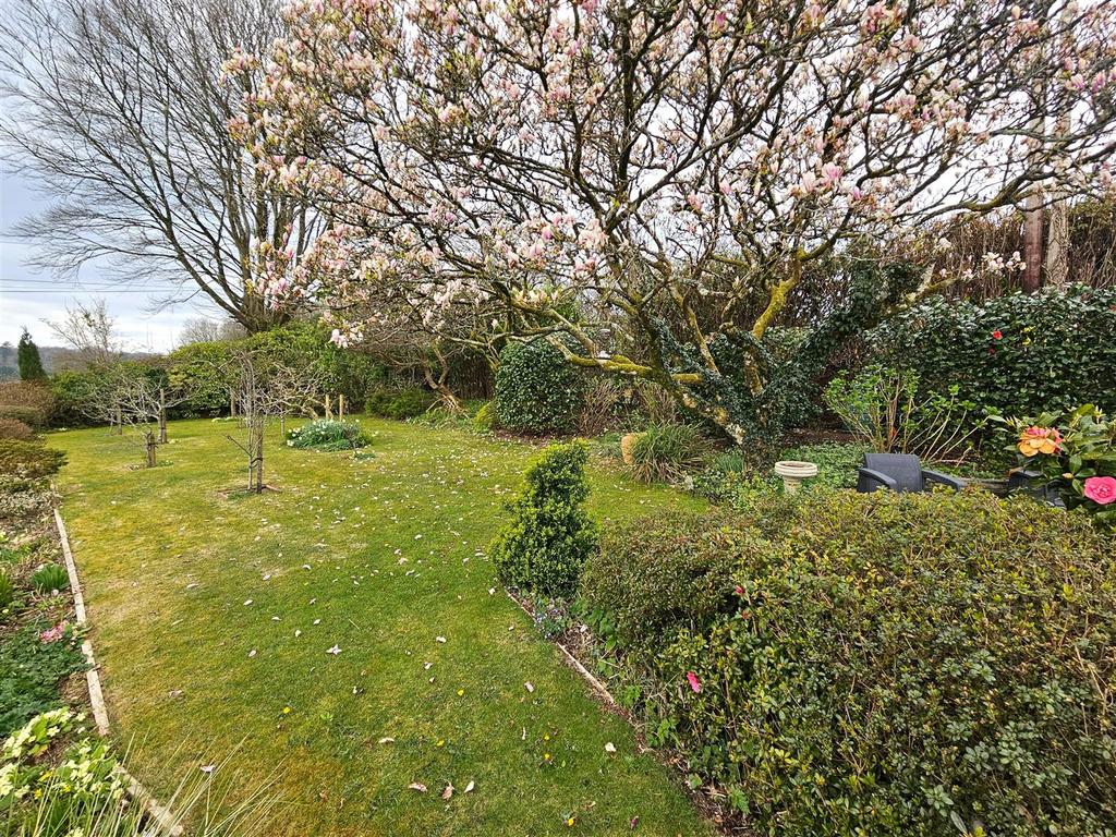 Front Garden.jpg
