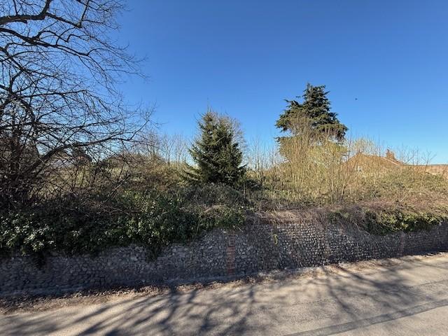 E T202504091818.jpg