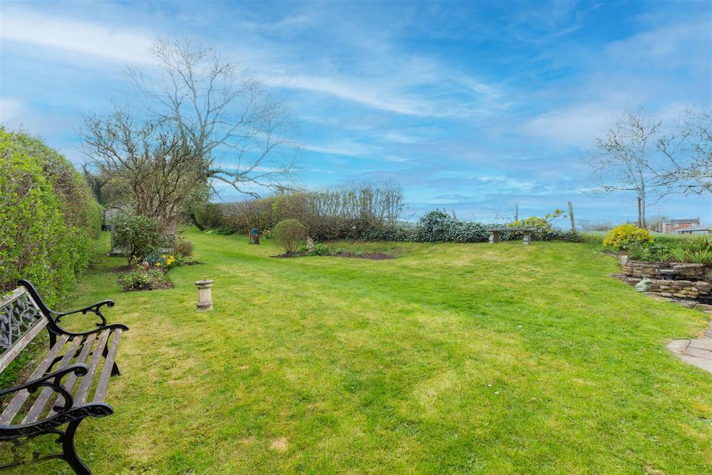 Back-garden-1-4.jpg