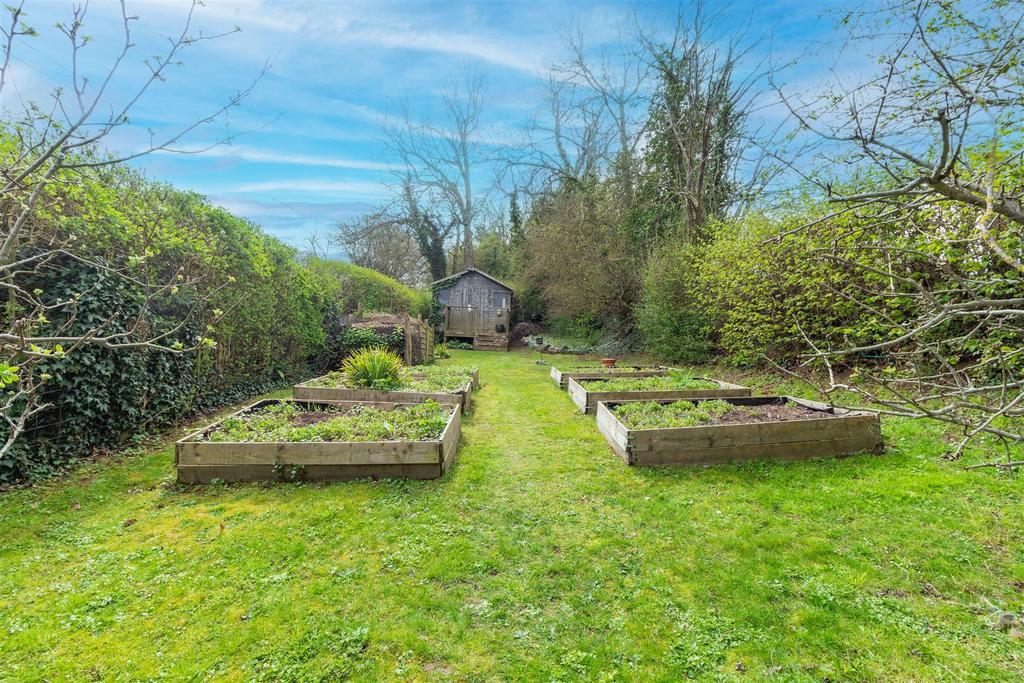Back-garden-1-8.jpg