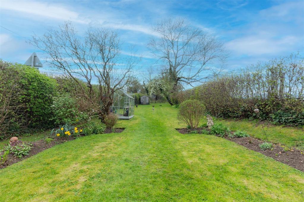 Back-garden-1-5.jpg