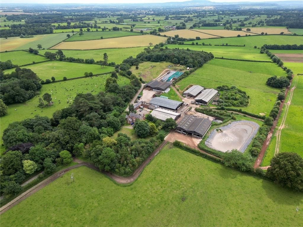 Shotton Farm