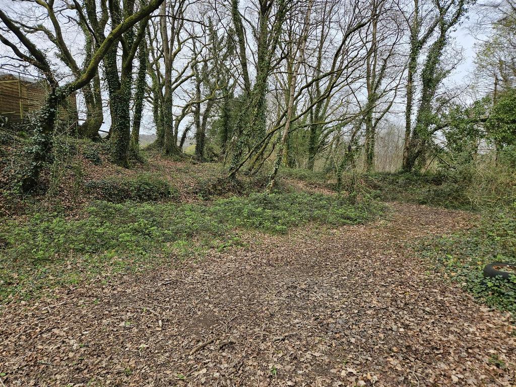 Woodland.jpg