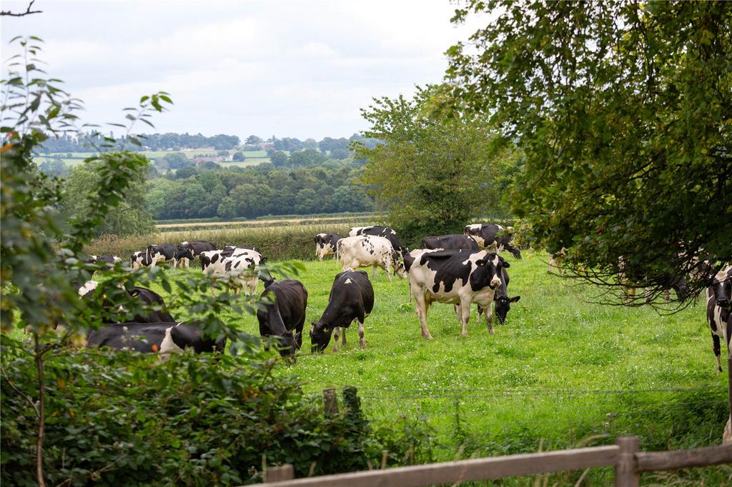 Shotton Farm