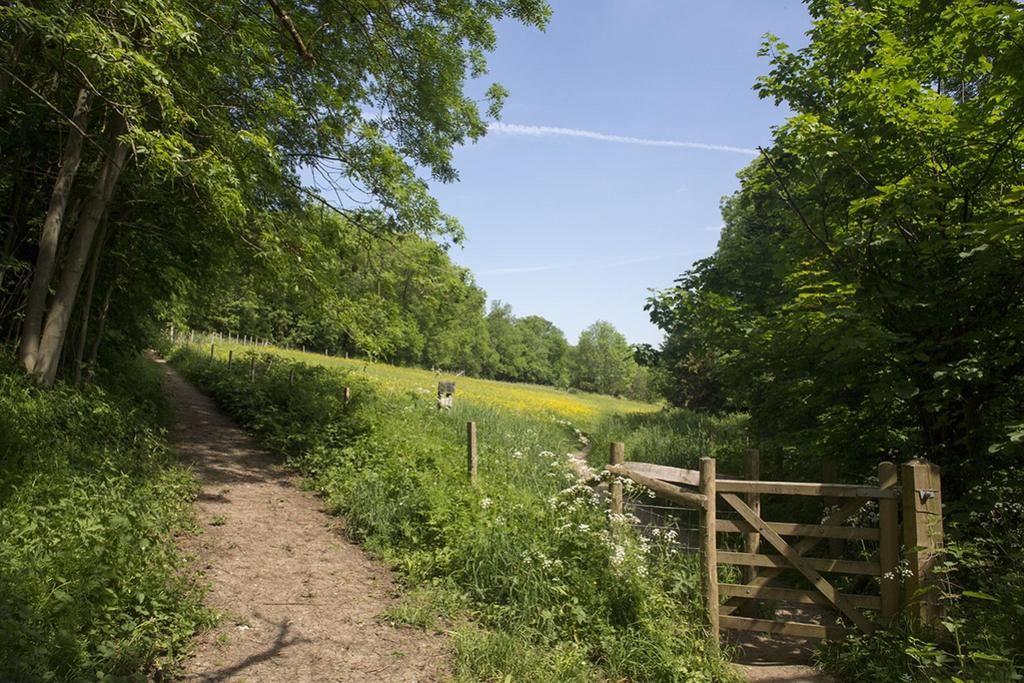 High-elms