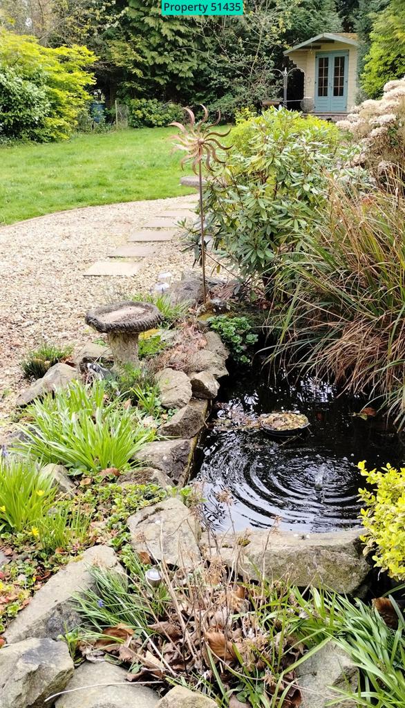 Pond / lawn