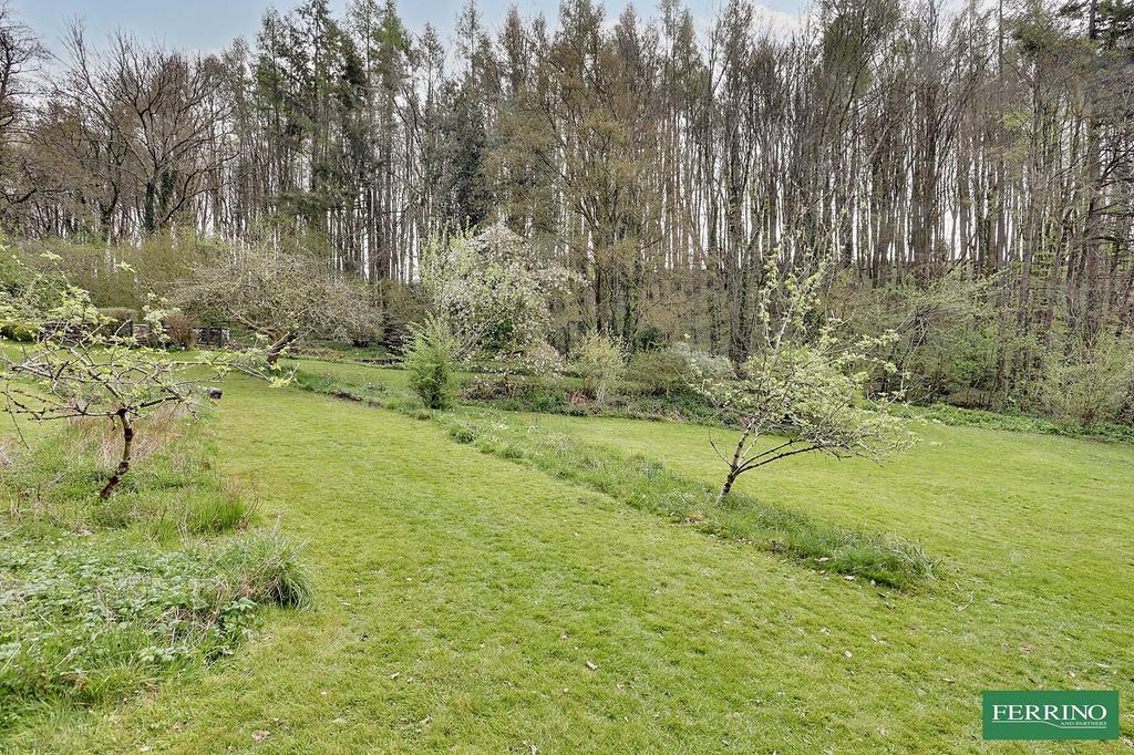 Grounds