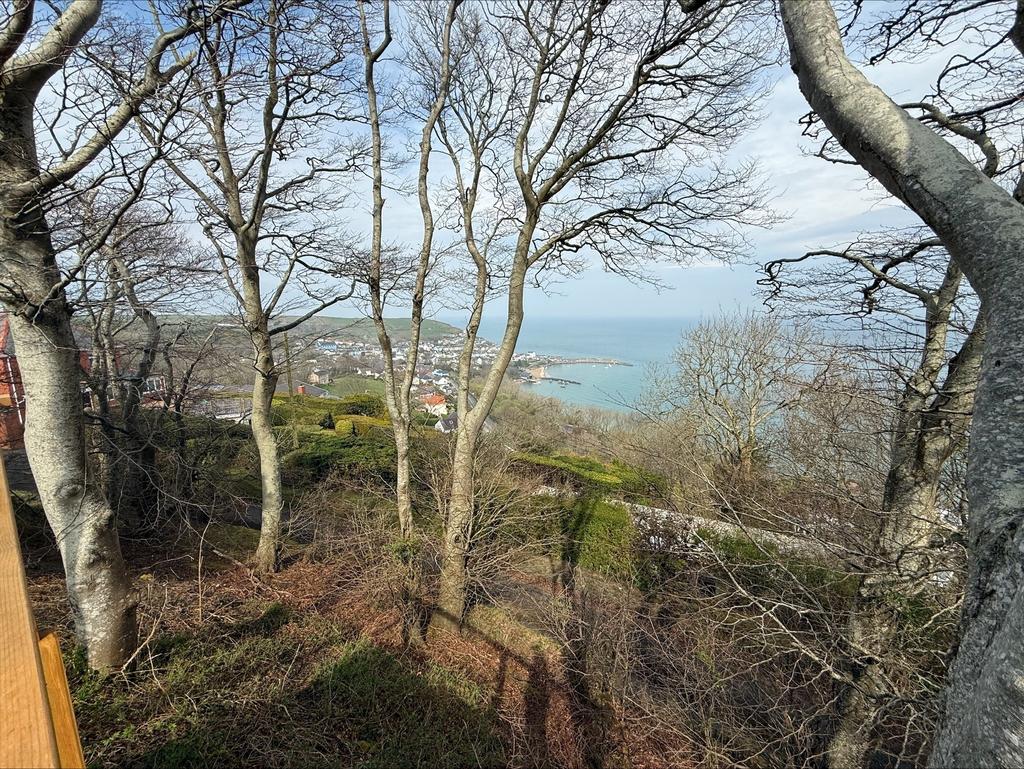 Communal grounds
