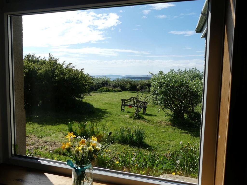 View from kitchen