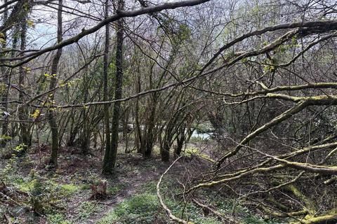 Farm land for sale, Looe Mills, Liskeard