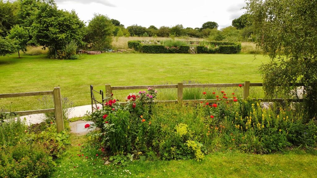1-field-cottages05