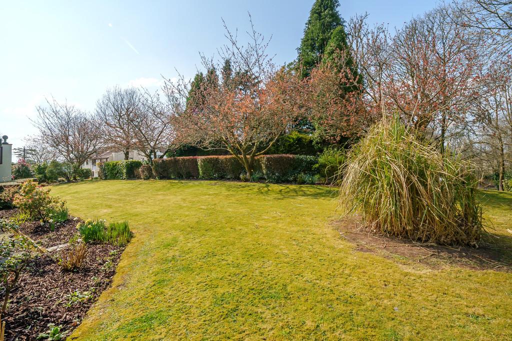 Communal Garden