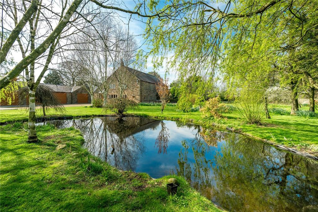Pond External