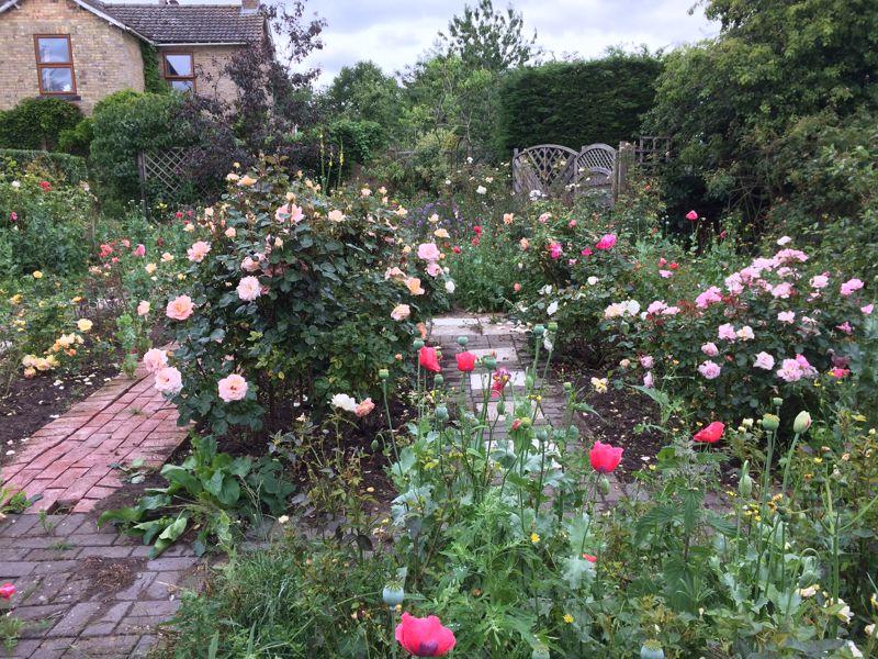 Rose Garden