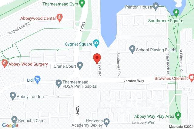 Google Maps Image