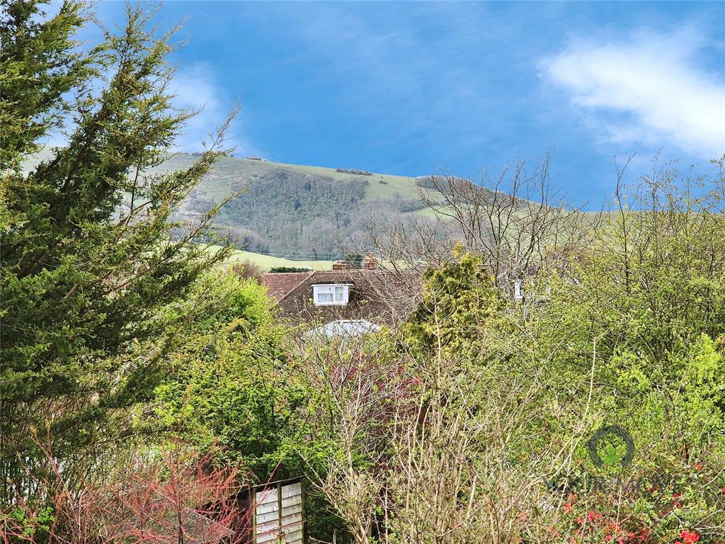 View From Rear
