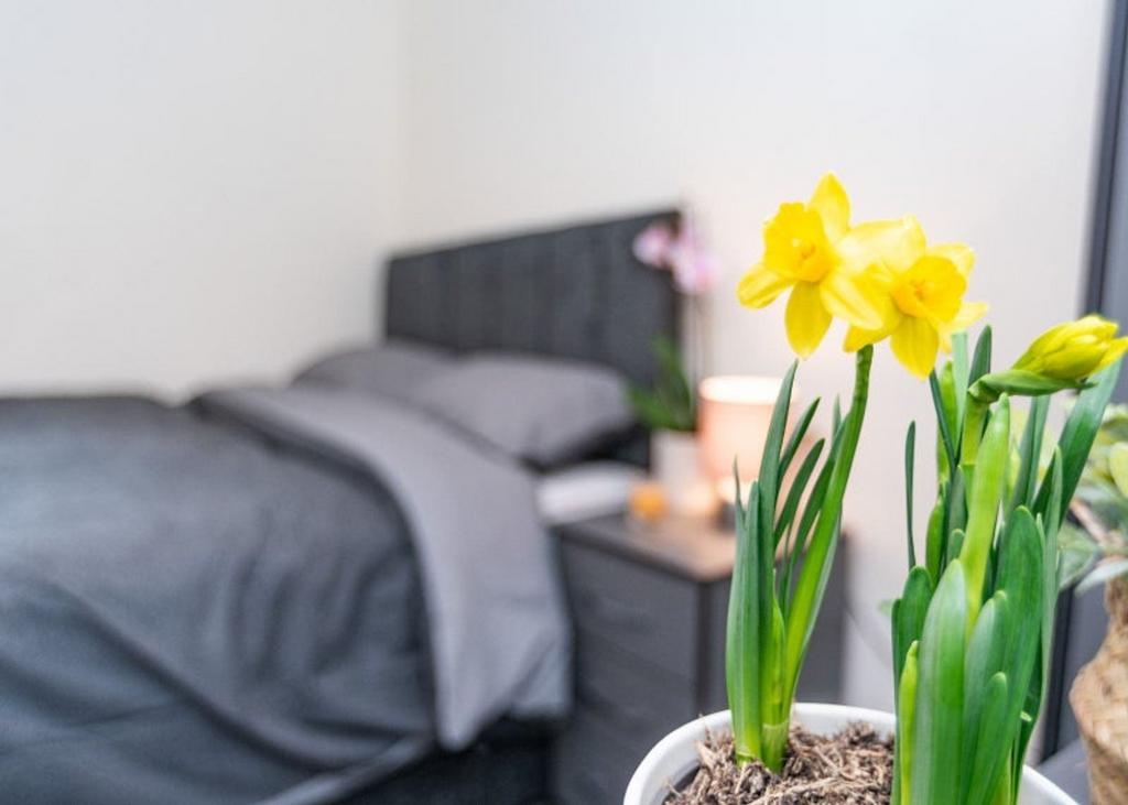 This charming double bedroom features a stylish...