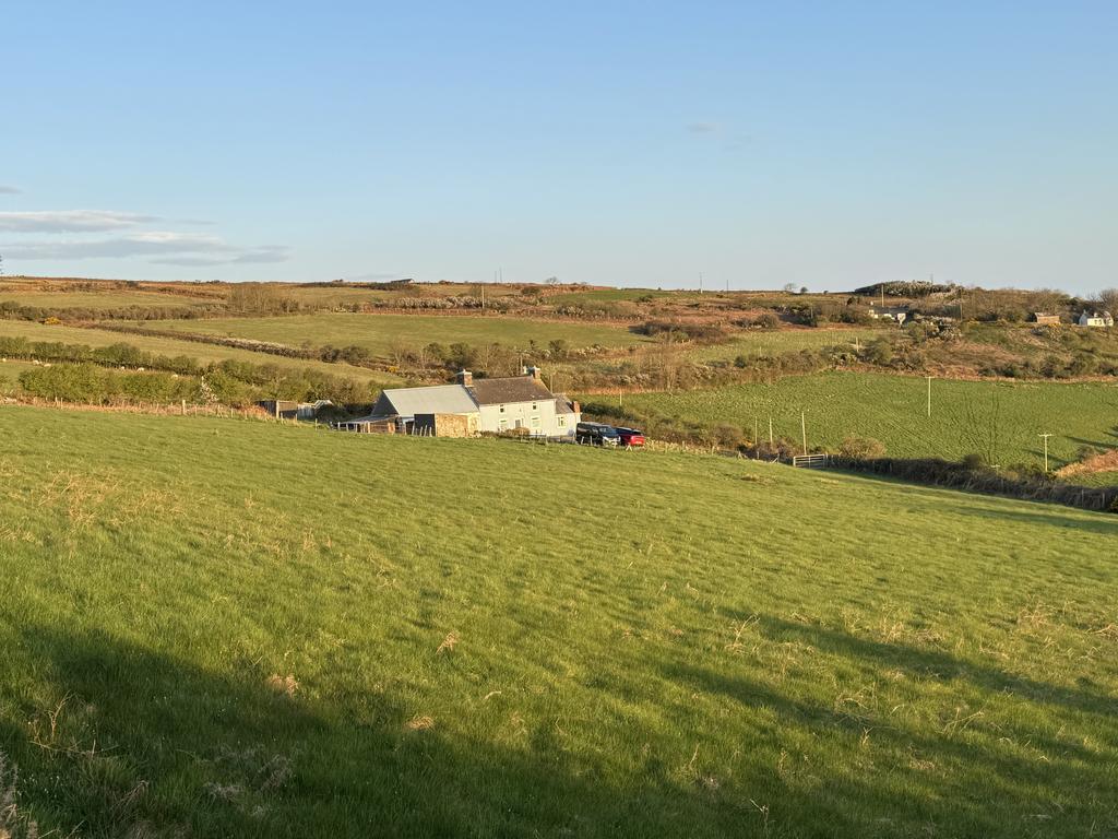 The land