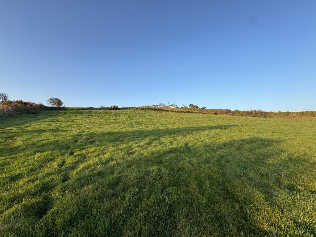 The land