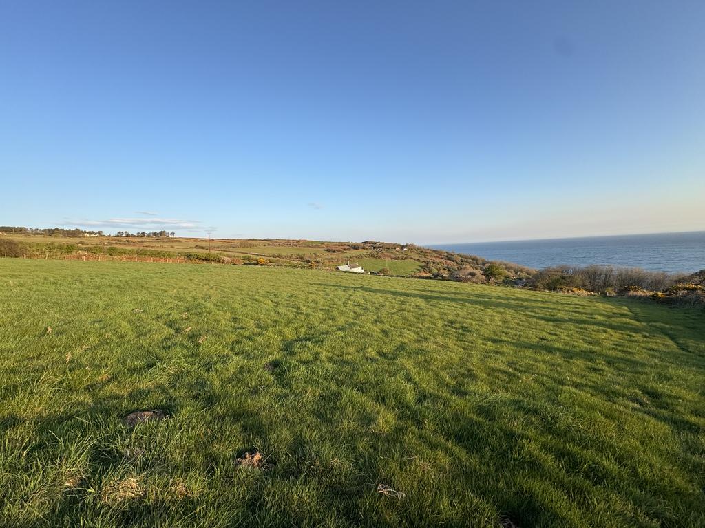 The land