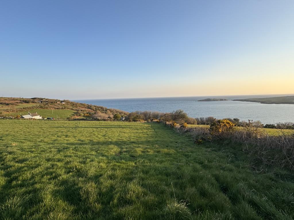 The land