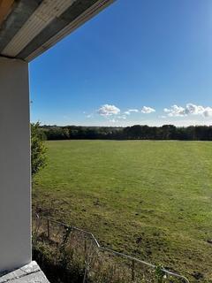 undefined, Priors Meadow, Bearpark, County Durham, DH7